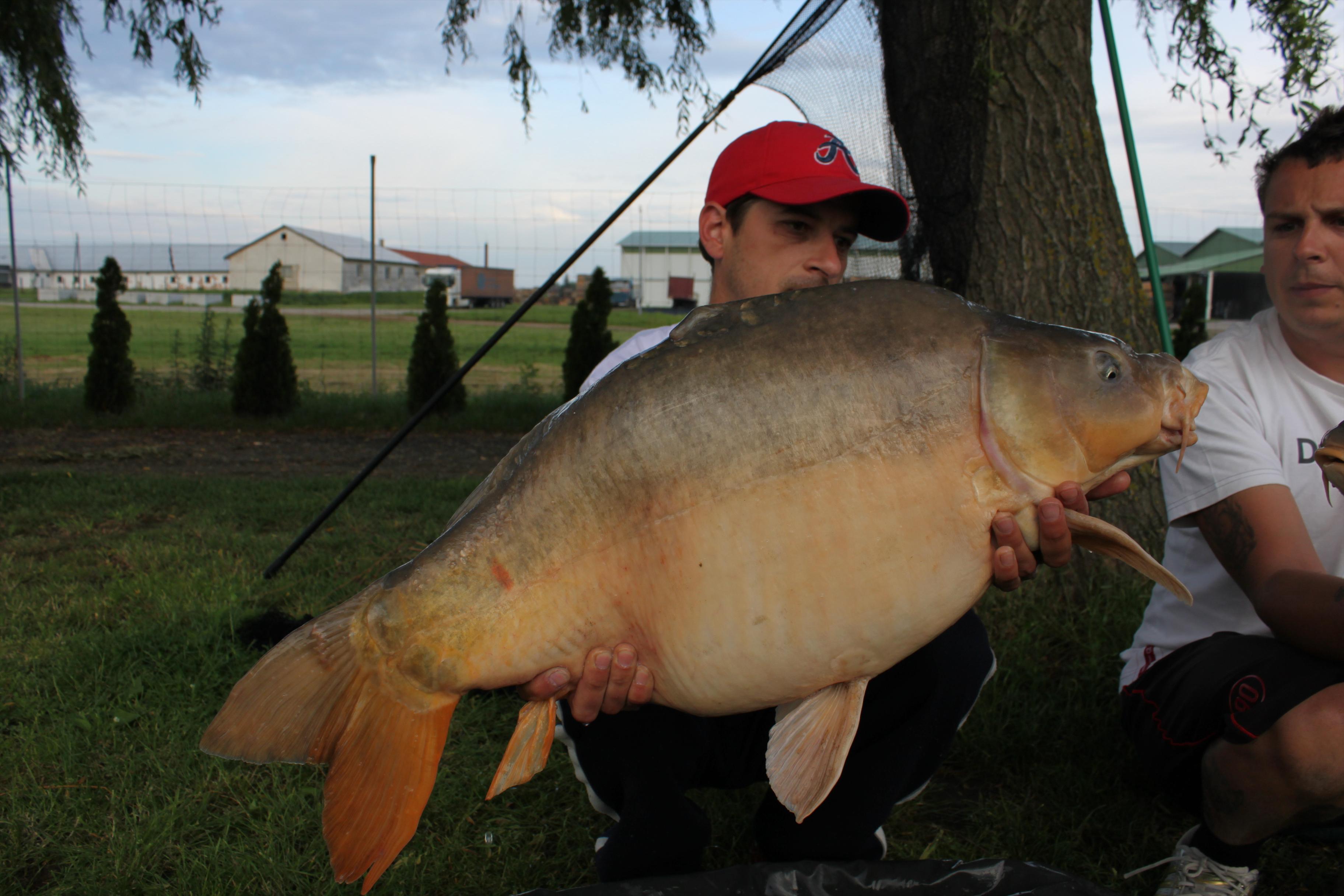 Capturi 2012 - IMG_0883.JPG